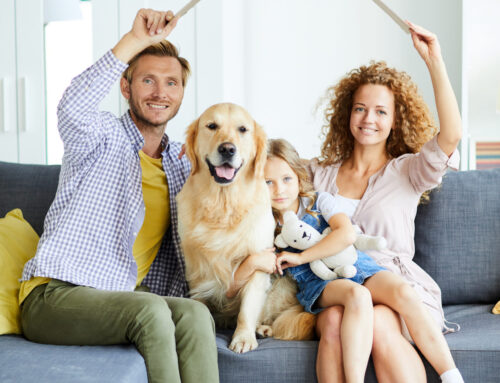 Novas medidas fiscais para habitação (2025)